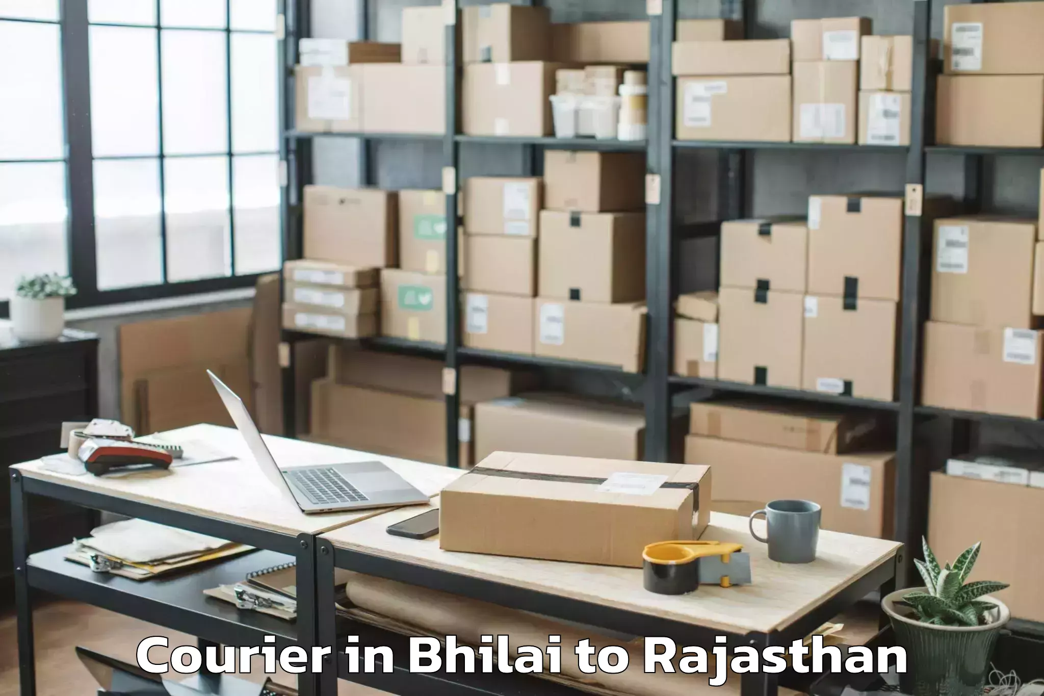 Top Bhilai to Jhadol Courier Available